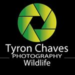 Tyron_Chaves_photography - @tyronphotos Instagram latest uploaded photos & videos - raingrande.com