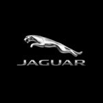 Jaguar - @jaguar Instagram latest uploaded photos & videos - raingrande.com