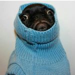 Lerex - @lerex._ Instagram latest uploaded photos & videos - raingrande.com