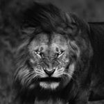BigBoss👑🦁🔝 - @691only.g Instagram latest uploaded photos & videos - raingrande.com