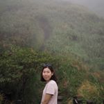 suasuaa 🌳 - @suasuaa Instagram latest uploaded photos & videos - raingrande.com