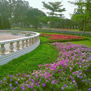 American garden has a characteristic to display country classic garden and native garden where you can see a various beautiful flowers. I need hours to enjoy this view~ kkk 