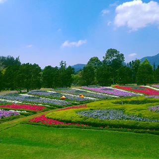 Exploring and enjoying views of every garden here 