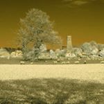 @oldphil59 Instagram latest uploaded photos & videos - raingrande.com