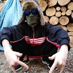 Topolus Topol - @topoli.cz Instagram latest uploaded photos & videos - raingrande.com