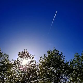 This 23+ degree, uv index of 7 weather has the feelings of summer!! #clicksbyklauss #treesofinstagram #views #trees #follow #tourism #islandlife #summer #bluesky #beautiful #photooftheday #photographer #photography #photo #lovewhereyoulive #tree #instagood #instalike #instagram #mothernature #pnw #awesome #igers #pictures #mothernature #travel #harbour #aviation #sunset #westcoast