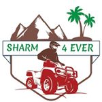 Sharm 4 EVER Шарм эль Шейх - @sharm_4ever Instagram latest uploaded photos & videos - raingrande.com