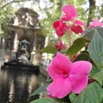 𝔽𝕝𝕠𝕨𝕖𝕣 𝔹𝕠𝕪 | ℕ𝕒𝕥𝕦𝕣𝕖 & 𝕋𝕣𝕒𝕧𝕖𝕝 - @flowerboygloom Instagram latest uploaded photos & videos - raingrande.com