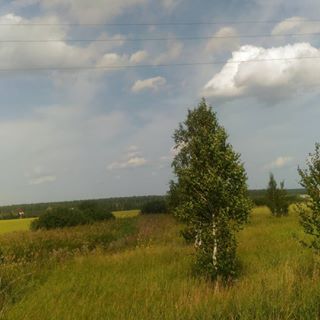 #nature #naturelovers #nature_perfection #natureza #naturelover #naturehippys #instagramanet #instatag  #nature_shooters #natureporn #natureaddict #pretty #nice #photooftheday #weather #day #mothernature #beautiful #beautifulday #outdoors #sun #happyday #happylife #real #tree #ель #природа #sky #природа #поле