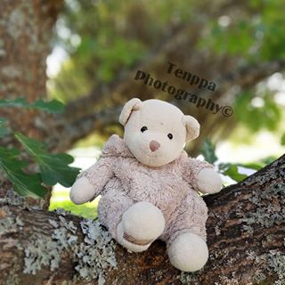 Natural habitat. #nature #tree #toy #baby #photography