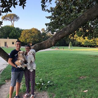 Noi️ #noi#voscodicapodimonte#dea#toy#poodle#ilovemypoodle#instadog#instapoodle#sanlorenzo#prato#tree#love#ilovemydog#amore#