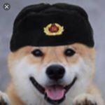 my pronouns are we/our - @thatsquattinggirlwithushanka Instagram latest uploaded photos & videos - raingrande.com