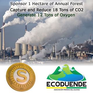 #ecoduende #scolcoiners #oxigen #tree #ong #scol #Scolcoin #donacion