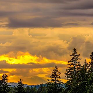 Weird summer sunset!, Portland, Oregon #run #road #runs #runner #runners #pdx #portland #myhero #august #pnw #pnwlife #pnwonderland #landscape #tree #landscapes #cloudy #oregon #contrast #love #neverstopexploring #exploreoregon #oregonnw #nikon #nature #kgwweather #Summer #saturday #kgwnews #mykgw