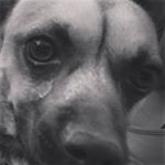 weredaalpha - @krakena0 Instagram latest uploaded photos & videos - raingrande.com