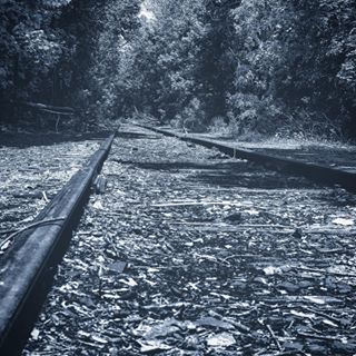  _________________________________
Main @iphone.ph0t0s 
_________________________________
#railroad #tree #trees #blackandwhite #colorless #bw #blackwhite #rocks #train #photo #instadaily #blackwhite #picoftheday #photography #photooftheday #foto #fotografia  #tracks #photobyiphone #photography
