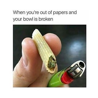 What’s the craziest thing you have smoked out of 🤔? Comment and tell us.
-Tag a friend for a shoutout
-Follow @sandjtrees for more funny weed content.
-Tags (Ignore)
#weed #cannabis #dabs #memes #dankmemes #420 #420memes #smoke #funny #tree #bud #dank #dankmemes