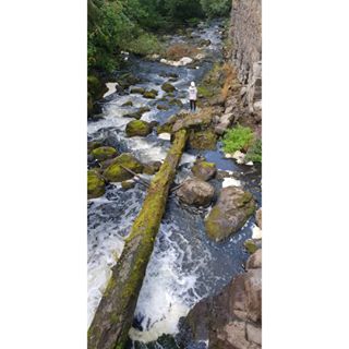 Bigger A. #love #kids #nature #river #rapids #backtoschoo #tree #scale #whereiswaldo
