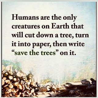 True#tree #trees #jungle #nature #green #rescue #natural #planet #planetearth