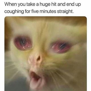 Has this ever happened to you?
-Tag a friend for a shoutout
-Follow @sandjtrees for more funny weed content.
-Tags (Ignore)
#weed #cannabis #dabs #memes #dankmemes #420 #420memes #smoke #funny #tree #bud #dank #dankmemes