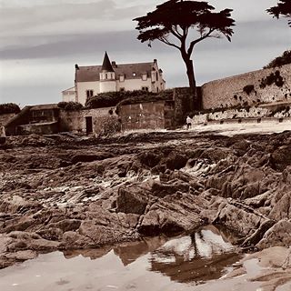 L’arbre, qui survit....
....
...
..
.
#tree #survival #coast #beach #house
#beachhouse #rock #sand #stone #walking #reflection #water #sea #ocean #seaside #seascape #landscape #landscapephotography #photography #photooftheday #naturephotography #loireatlantique #loireatlantiquetourisme #44bzh #instapic #instaphoto #blackandwhite