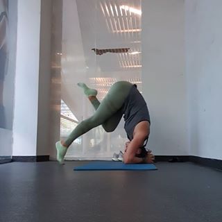 “Yoga is a dance between control and surrender-between pushing and letting go-and when to push and when to let go becomes part of the creative process, part of the open-ended exploration of your being.”
. . . . . . . . . . . . .
#yogalover #yoga #practise #yogabalance #handstandlover #motivation #soul #mind #body #control #emotions #happymood #yogagirl #yogalife #yogaadventure #littlesteps #progression #balance #sportlover #sporttime #morning #workouts
