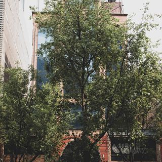 Coexist
#photography #photoshoot #streetphotography #street #canon #canonphotography #canon1300d #photographer #urban #nature #downtown #shadow #light #shadows #cdmx #summer #horizon #building  #mexico #followers #likeforfollow #follow #building #landscape #mexicocity #pattern #followforfollowback #abstractphotography #abstract #ecology #tree #landscape