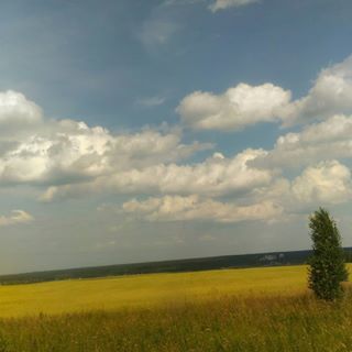 #nature #naturelovers #nature_perfection #natureza #naturelover #naturehippys #instagramanet #instatag  #nature_shooters #natureporn #natureaddict #pretty #nice #photooftheday #weather #day #mothernature #beautiful #beautifulday #outdoors #sun #happyday #happylife #real #tree #ель #природа #поле #природа #sky