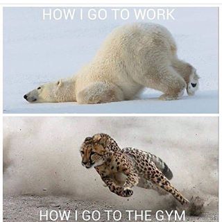 Please make sure LIKE, SHARE and FOLOW For More Posts
.
.
.
.
.
#gym #gymlife #gymmotivation #gymnatics #gymshark #gymmemes #gymgirl #gymrat #gymaholic #gymfit #gymfitness #fitness #fitnessgirl #fitnessmotivation #fitnesboy #fitnessjourney #fitnessfun #fitnessfood #instafitness #fitnessinspiration
#bodybuilding #bodybuildingmotivation #bodybuildingcom #workout #workoutmotivation #workoutroutine #workouts #streetworkout