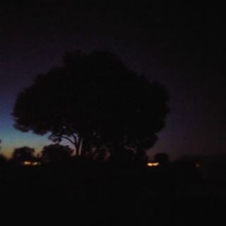 .
.
.
.
.
.
.
#photography #night #cool #tree #sky