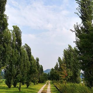 Show you #myfavorite place 
1st pics & videos
#entrance of my secret place  august. 2019
lovely / peaceful
.
.
.
.
.
.
.
.
#운동 #workouts 
#내가찍고조아라
#푸시업101 #pushup101 everyday
#squat101 #스쿼트101 everyday
.
. .
#runningcourse #myrunninglife #myrunningview 
#cumulus #nature #naturelovers #naturephotography #naturelover #instanature
#landscapelovers
#landscapephotograpy
#travel #travels #traveling #travelgram #traveler #travelersnotebook #travelerphotography #flowers