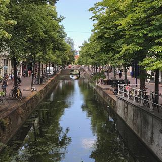 Have a nice Sunday 
#delft#holland#netherland#flowers #netherlands#netherlands🇳🇱 #niederlande #delftcity #channel #sun#sunnyday #tree #trees#water#bluesky #sunday#