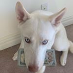 Оо - @5sxpe Instagram latest uploaded photos & videos - raingrande.com