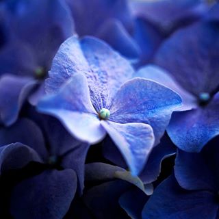 Blue world.
⠀
Photographed by Susanne Arousell.
⠀
⇓ Follow & Tag #ExcitingImages