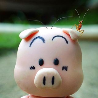 Lâu lâu e selfie phát ạ 
#C901
#top_macro #macro_freaks #macromania
#macro_p #macro_kings #1macroshot
#nature #macro_turkey #macro
#macro_spotlight #macro_globe
#macro_holic #macro_secrets #explore_macro
#macro_love #macro_delight
#macro_world #macroclique #igbest_macros
