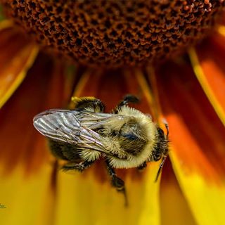 Www.NancyDeJesusPhotography.com #NancyDeJesusPhotography