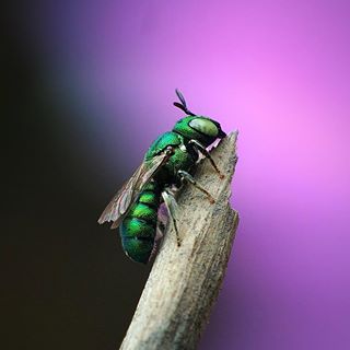 Lần đầu lên đỉnh
#C901
#top_macro #macro_freaks #macromania
#macro_p #macro_kings #1macroshot
#nature #macro_turkey #macro
#macro_spotlight #macro_globe
#macro_holic #macro_secrets #explore_macro
#macro_love #macro_delight
#macro_world #macroclique #igbest_macro