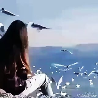 دلم می سوزد و کاری ز دستم بر نمی آید...
شبان آهسته میگریم که شاید کم شود دردم.... تحمل می رود هموار شب غم سر نمی آید...
چه سود از شرح این دیوانگی ها بی قراری ها..
تو مه ، بی مهری و حرف منت باور نمی آید... ز دست و پای دل بر گیر این زنجیر جار ای یار...
که این دیوانه گر عاقل شود دیگر نمی آید...
فراق از عمر من می کاهد ای نامهربان رحمی... خدا را از چه بر من رحمت ای کافر نمی آید... .
.
.
.
#همای_مستان
#دلمگرفته
#همای
#فازسنگین
#غمگین
#همای
#مستان #شجریان #همایون_شجریان #سنتی #دلم_میسوزد #آرام _آرامش_بخش
#دلم_میسوزدوکاری_زدستم_برنمیاید #آرامش ##صدای_بهشتی #غم #ناله #دلسوز
#homay
#homay_mastan #sonsti #ass #ghamgin #j4ufl #hitmanmusic 98.02.01_03:42am 
#ghamnak#gham#shajarian
#ghomeyshi #chavoshi