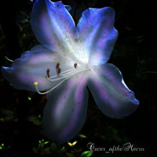 #macropassion_flower
#_macroart
#macroart
#1macroshot
#9vaga_macro9
#bpa_macro
#featured_macro
#fiftyshades_of_macro
#ig_bliss_macro
#flowerstagram
#flowers
#globalshot
#inthemoodfor_macro
#kings_macro
#macro_brillance
#top_macro
#macro_p
#perfection
#macro_delight
#macro_highlight
#macro_mania__
#macro_mania_
#best_pics
#redflowers
#1macroshot
#macromoments
#macromoment
#traveling
#tv_flower
#macrofotografia